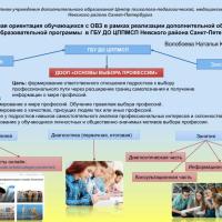 3. Волобоева Н.Ю. Стендовый доклад
