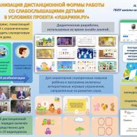 Родина Н.С.